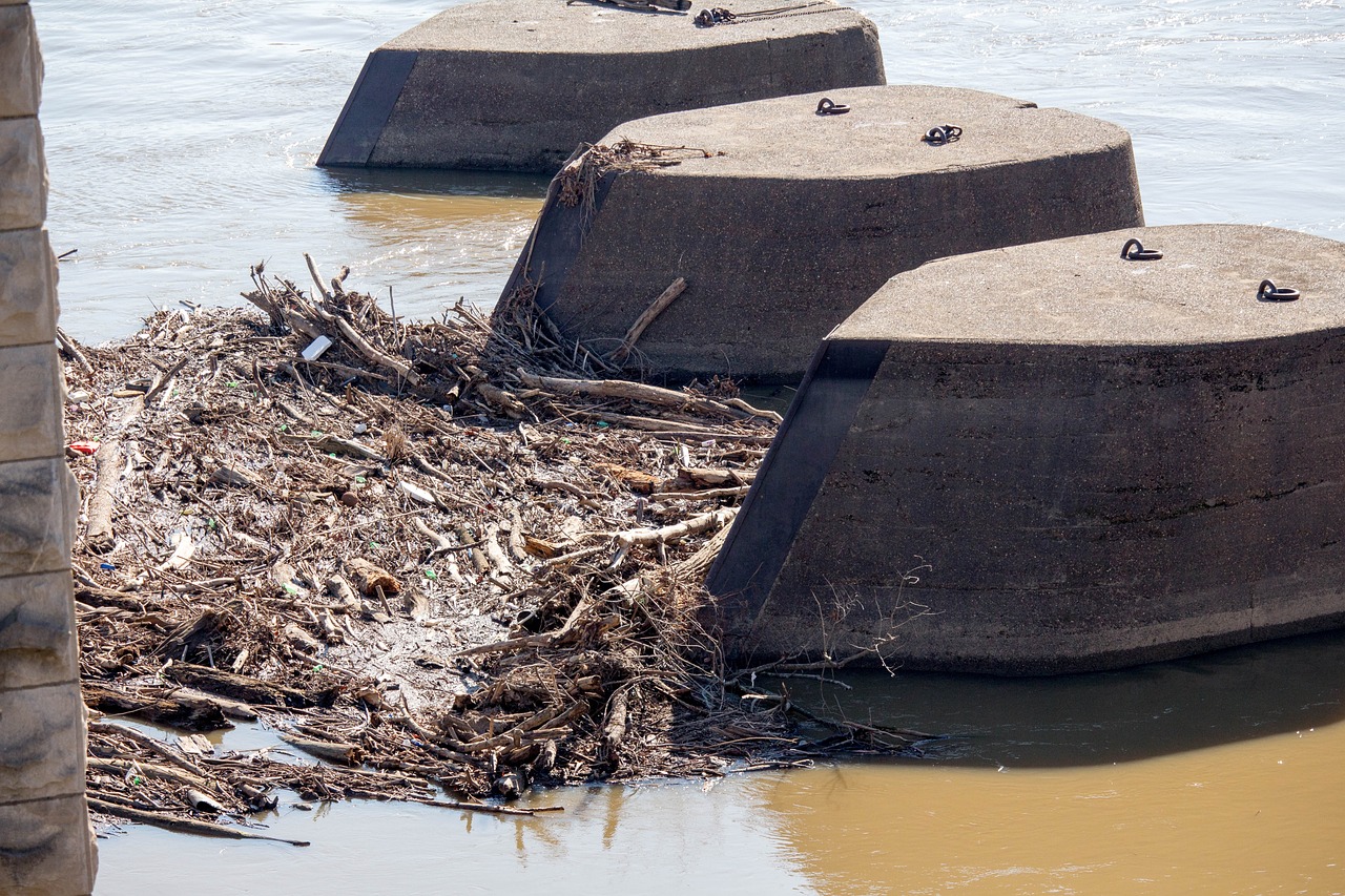 Navigating the Ocean Waste Crisis - What Can We Do?